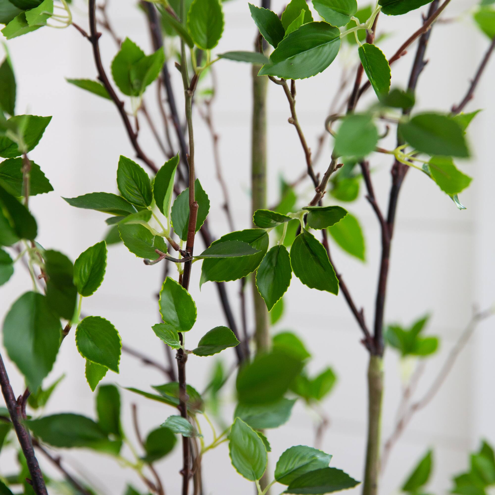 7ft. Minimalist Citrus Artificial Tree